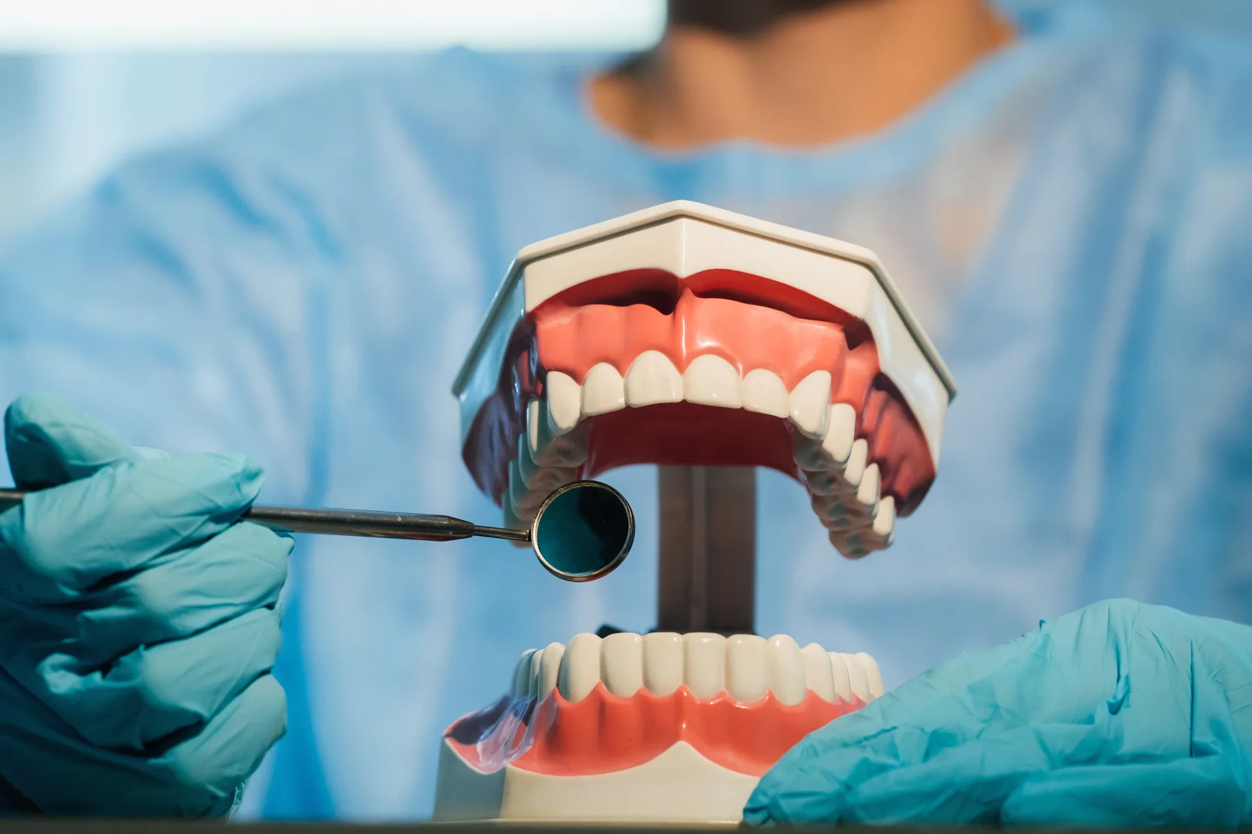 A dental doctor wearing blue gloves and a mask holds a dental model of the upper and lower jaws and a dental mirror